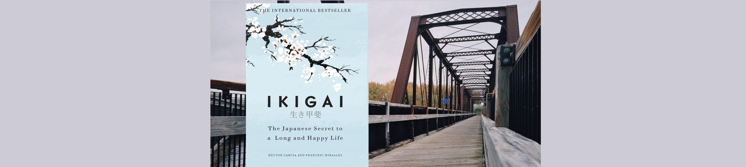 Ikigai: The Japanese Philosophy for a Healthy and Happy Life